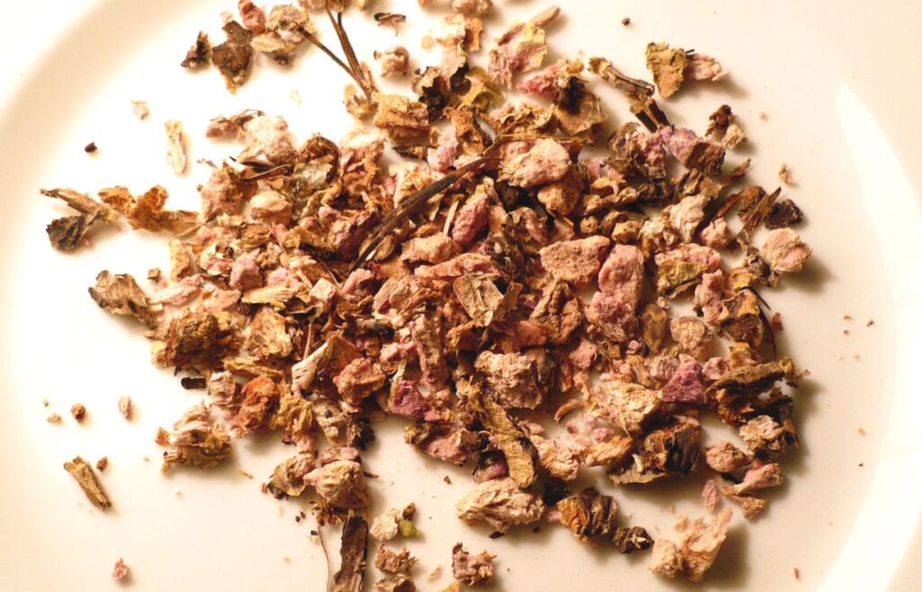 Dried R. rosea root